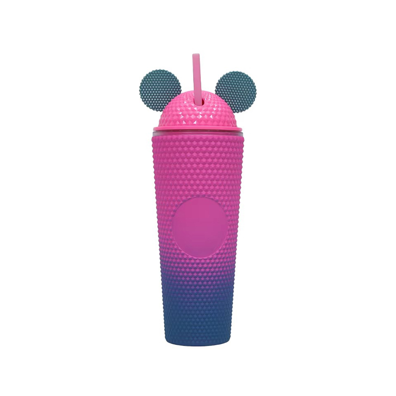 Large double layer reusable plastic tumbler