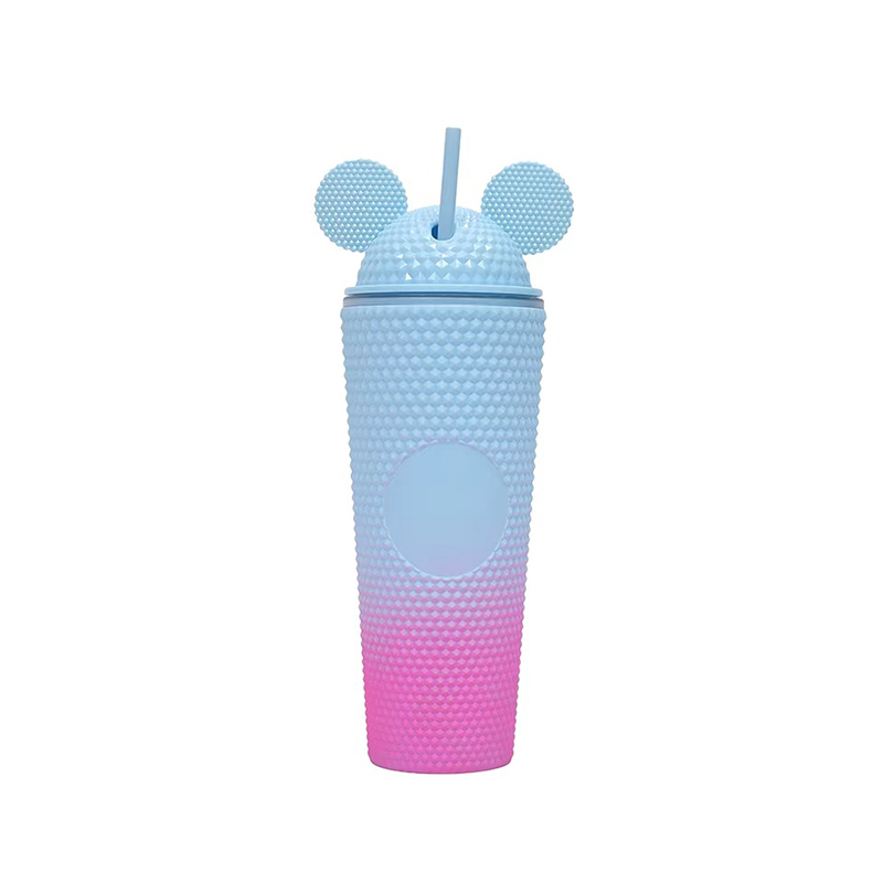 Large double layer reusable plastic tumbler