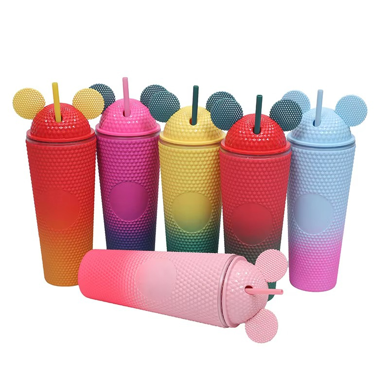 Large double layer reusable plastic tumbler